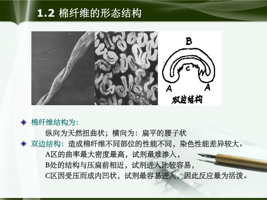 染色物理化学动画课件.pptx_第3页