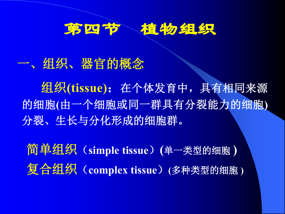 植物生物学-课件-12植物组织.ppt_第2页