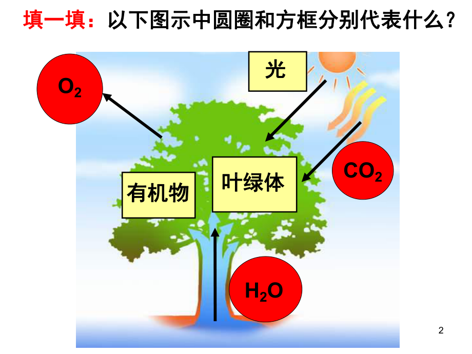 浙科版高中生物难教难学课的研究光合作用课件.pptx_第2页