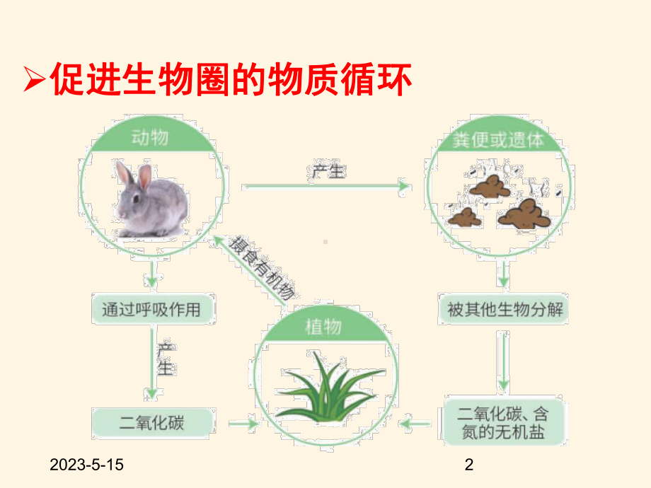 最新济南版七年级上册生物课件-225-动物在生物圈中的作用.ppt_第2页