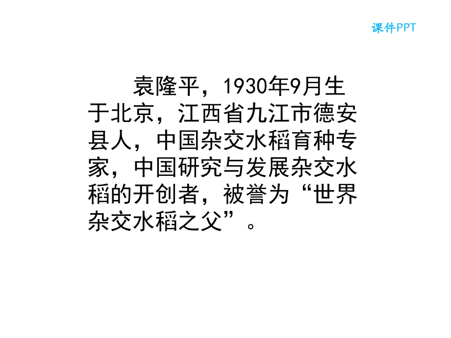 最新北京版三年级上册语文课件：29-袁隆平的梦.ppt_第2页