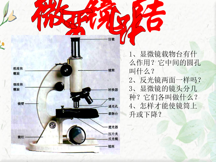 显微镜使用方法用课件.ppt_第2页