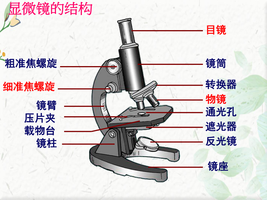 显微镜使用方法用课件.ppt_第3页