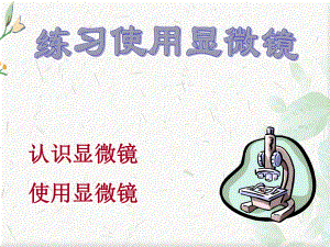 显微镜使用方法用课件.ppt