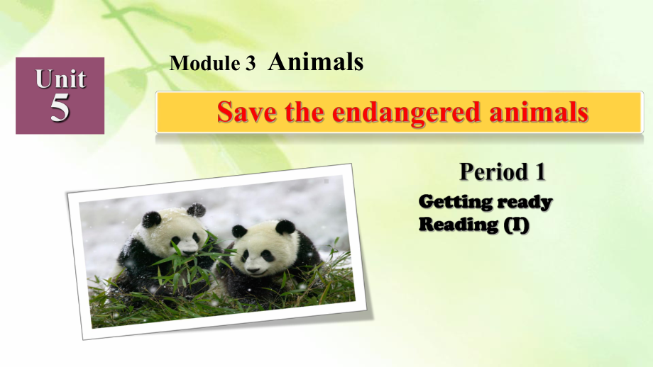 沪教版八年级英语下册Unit5-Save-the-endangered-animals课件.pptx_第2页