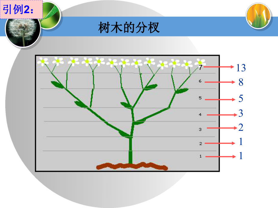 数列概念与表示课件.ppt_第3页