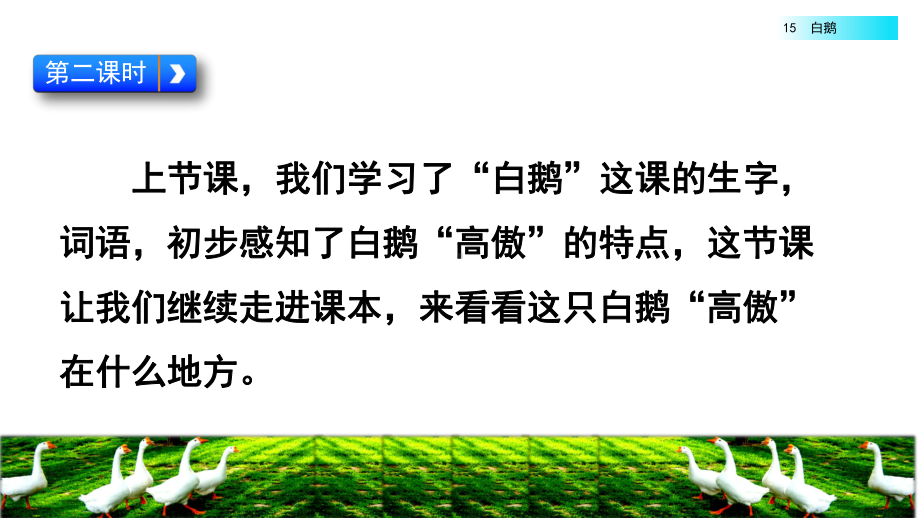 新部编版四年级语文下册15《白鹅》第二课时教学课件.pptx_第2页