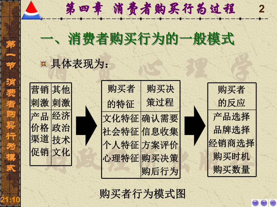 消费者购买行为过程消费心理学电子教案课件.pptx_第2页