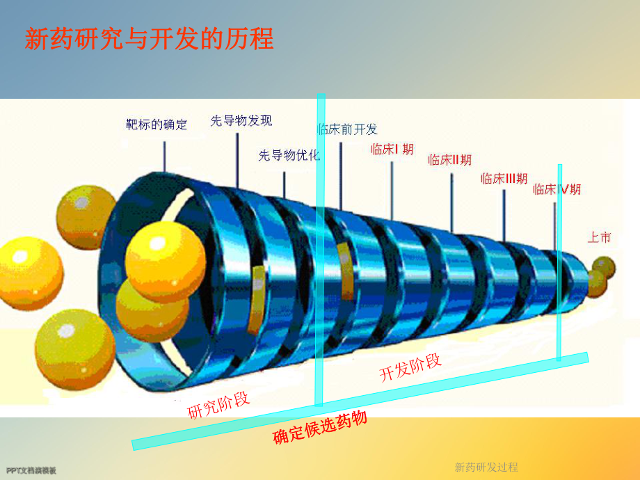 新药研发过程课件.ppt_第3页