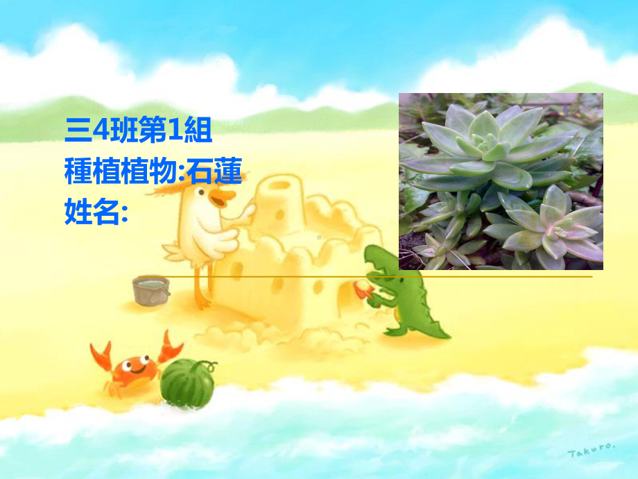 植物观察日记课件.ppt_第2页