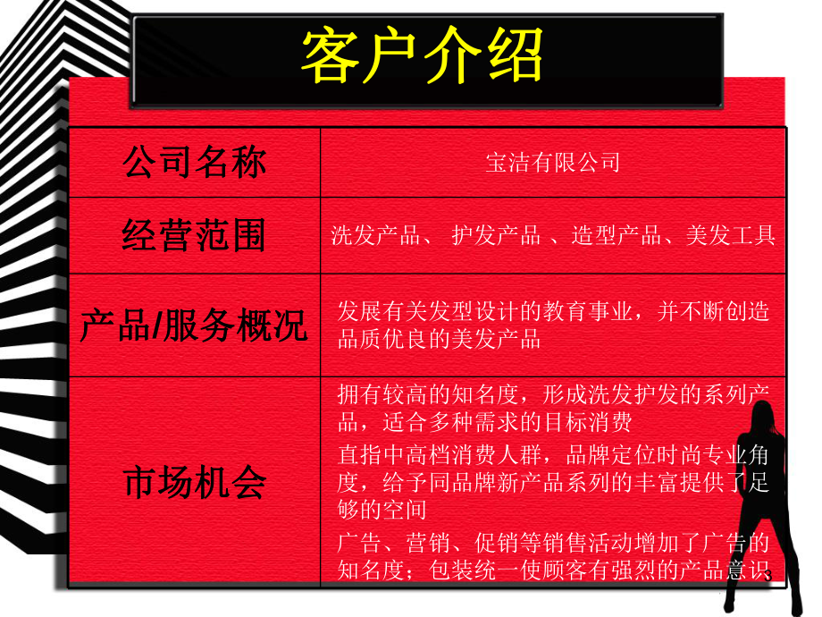 沙宣洗发水营销策划-策划推广营销方案报告课件.ppt_第3页