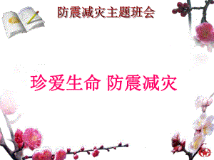 小学防震减灾主题班会课件.ppt