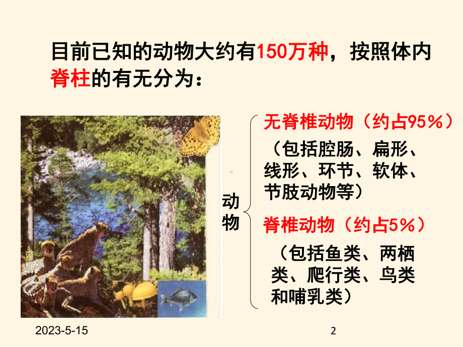 最新济南版七年级上册生物课件-221-无脊椎动物的主要类群.pptx_第2页