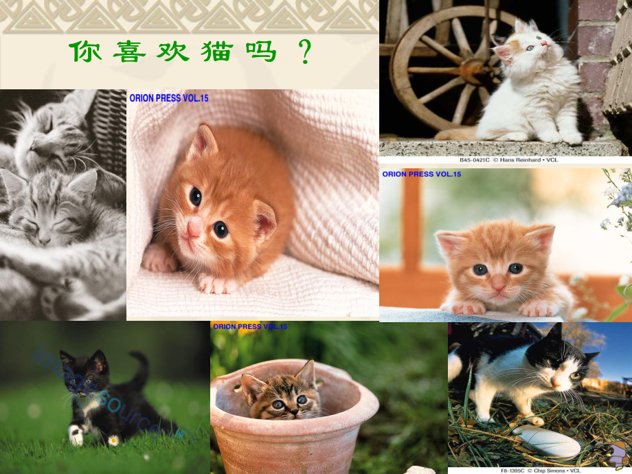 新课标人教版四年级语文上册15猫公开课课件.ppt_第1页