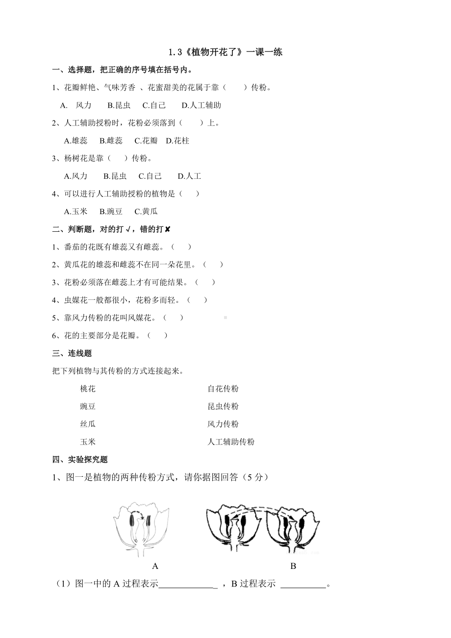 扬州市新苏教版三年级下册科学第3课时《植物开花了》课后练习+答案.doc_第1页