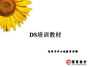 招商银行DS征信培训教材修正版FOR课件.ppt