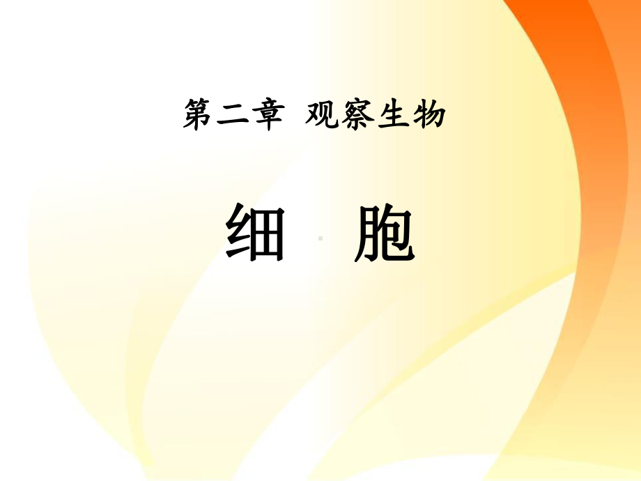 浙教版七年级科学上册《细胞》课件(2篇).pptx_第1页