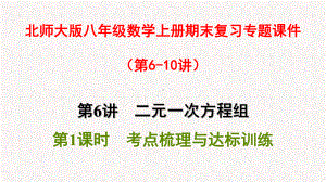 北师大版八年级数学上册期末复习专题课件(下).pptx