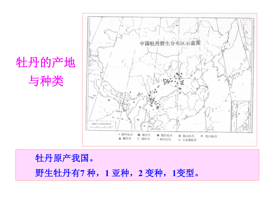 四季花卉鉴赏2课件.ppt_第3页