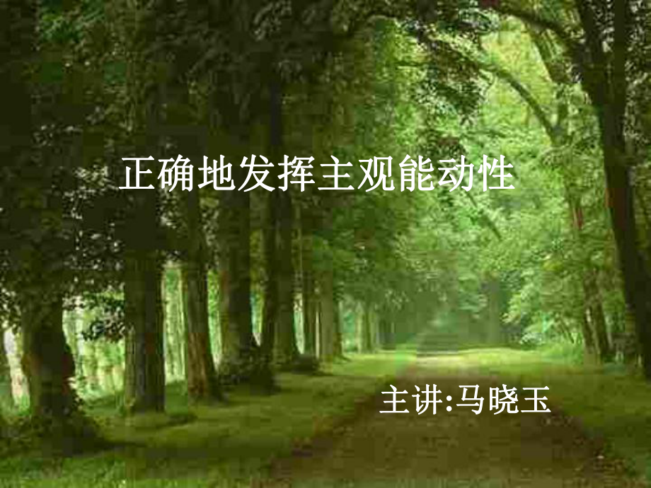 正确地发挥主观能动性课件.ppt_第1页