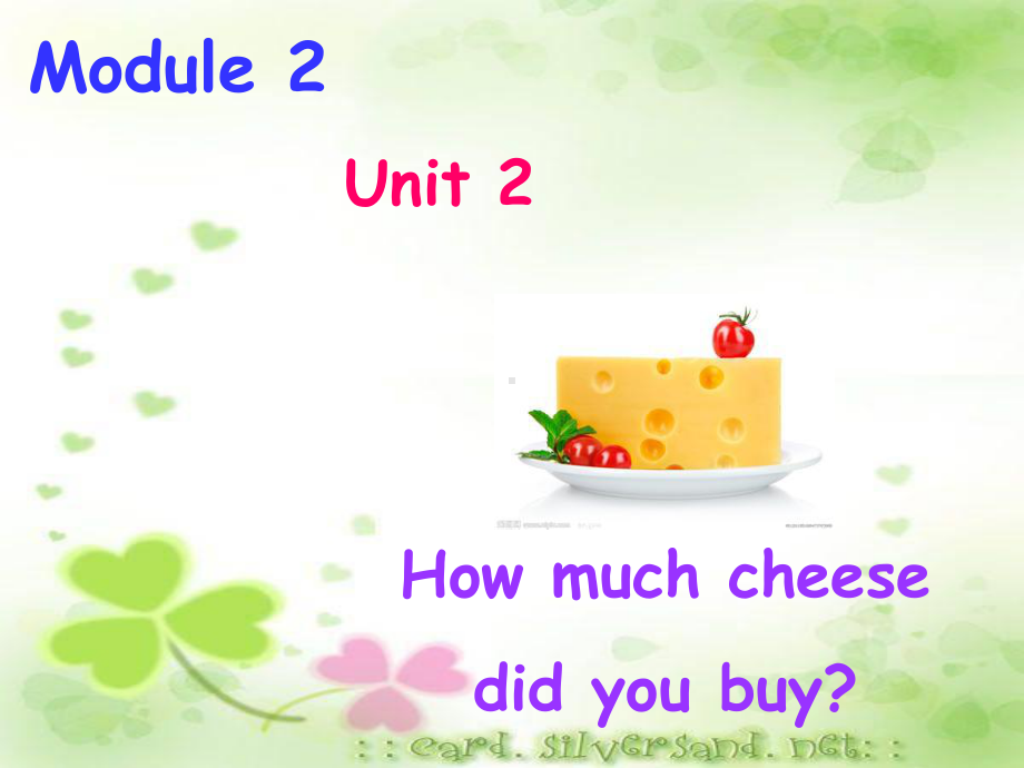 最新外研版(三起)五年级英语上册Module-2-Unit-2-How-much-cheese-did-you-buy公开课课件.ppt_第1页