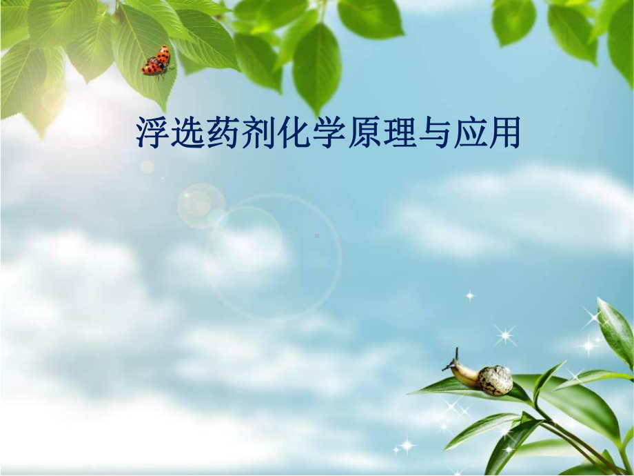 浮选药剂化学原理与应用-绪-论课件.ppt_第1页