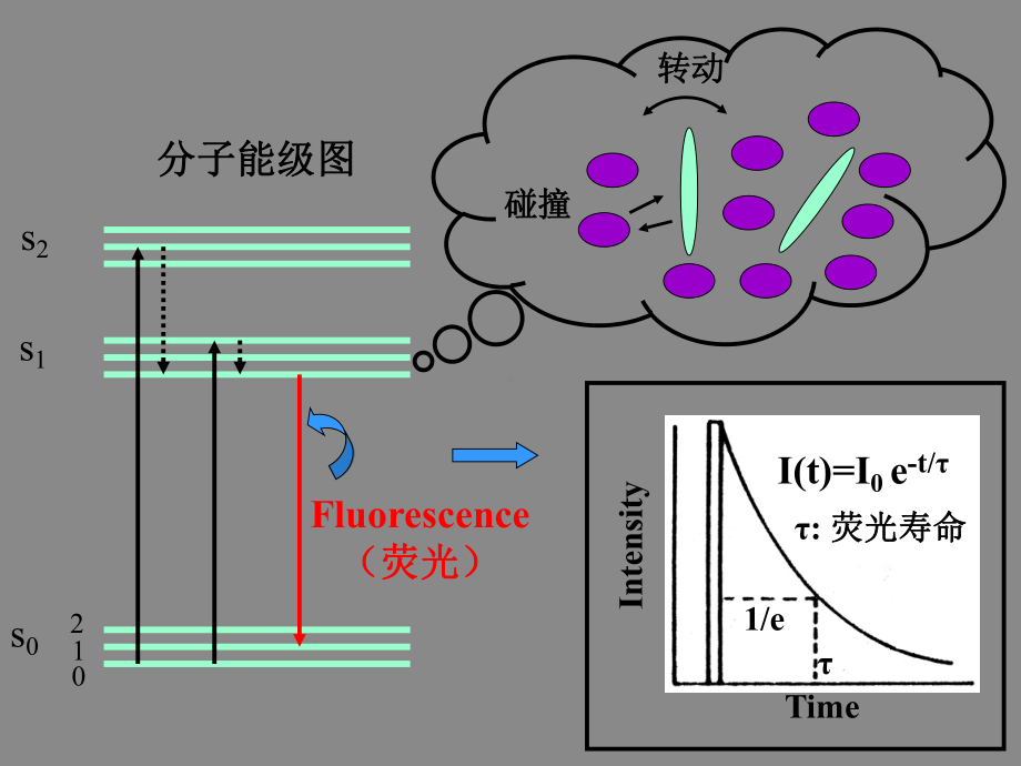 时间分辨荧光光谱在生物、化学中的应用课件.ppt_第3页