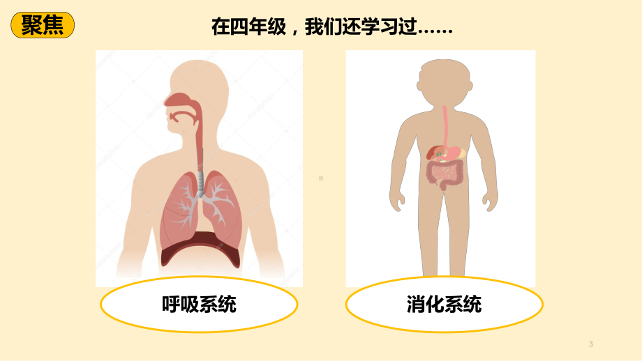 最新教科版小学科学五年级上册《制定健康生活计划》优质课件.pptx_第3页