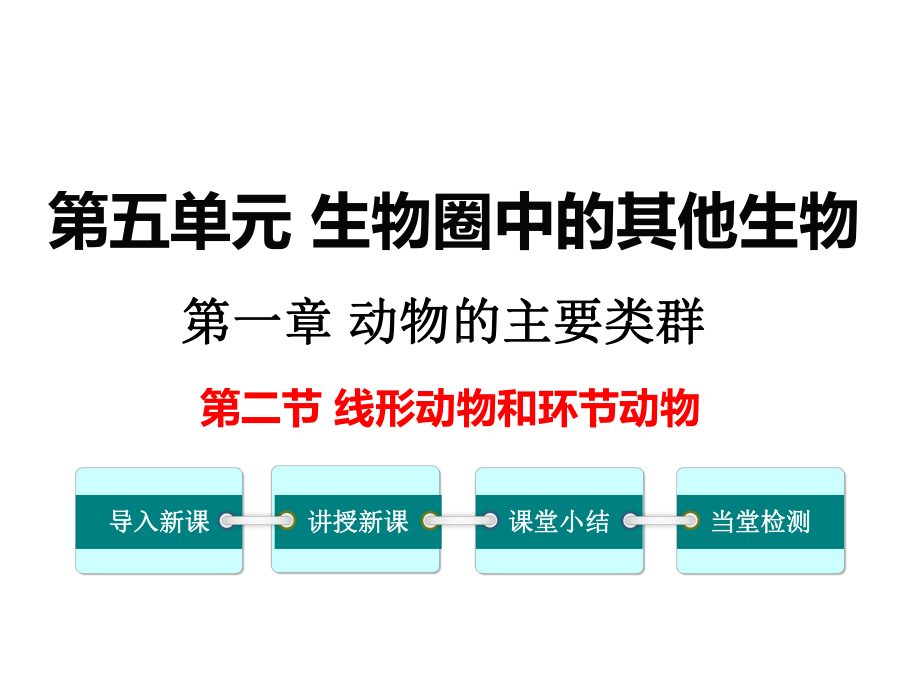 最新人教版八年级生物上册课件：2第二节-线形动物和环节动物（备份2）.ppt_第1页