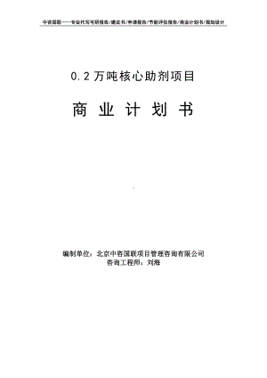 0.2万吨核心助剂项目商业计划书写作模板-融资招商.doc