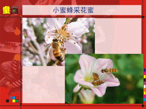 手指拓印画-蜜蜂采蜜课件.ppt