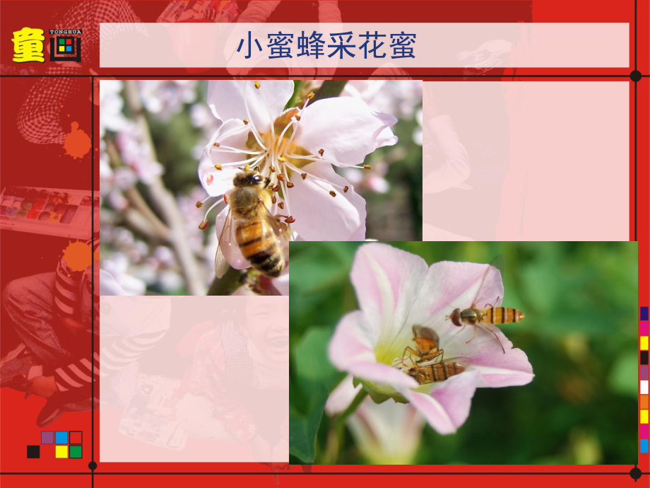 手指拓印画-蜜蜂采蜜课件.ppt_第1页