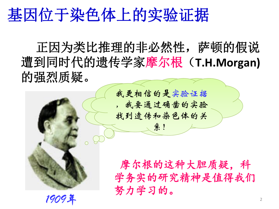 摩尔根果蝇实验课件.ppt_第2页