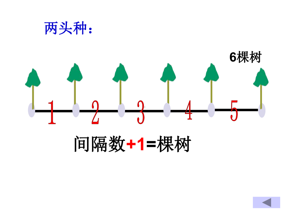 植树问题复习与整理课件.ppt_第3页