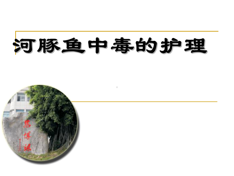 河豚鱼中毒的护理汇总课件.ppt_第1页