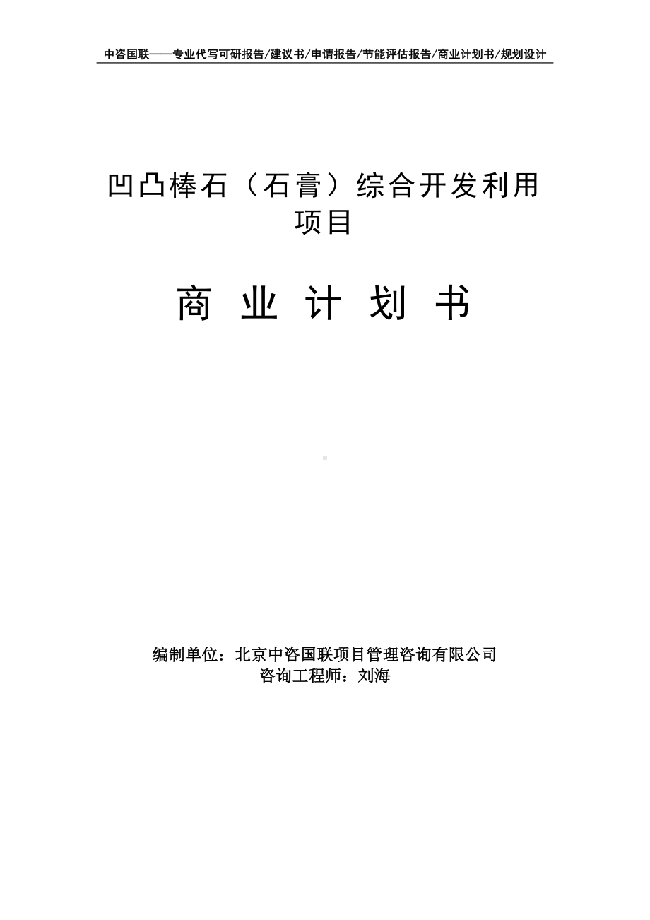 凹凸棒石（石膏）综合开发利用项目商业计划书写作模板-融资招商.doc_第1页