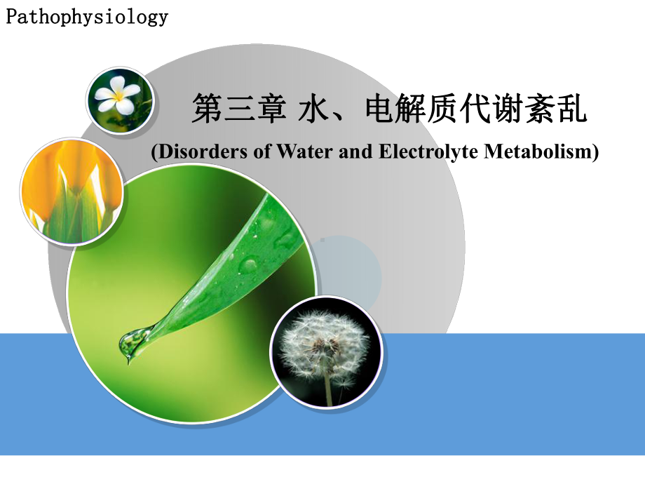 水电解质代谢紊乱-病理生理学课件.ppt_第1页