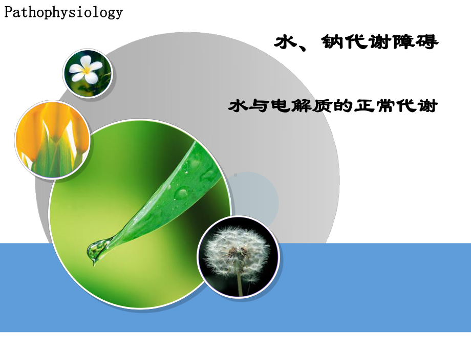 水电解质代谢紊乱-病理生理学课件.ppt_第3页