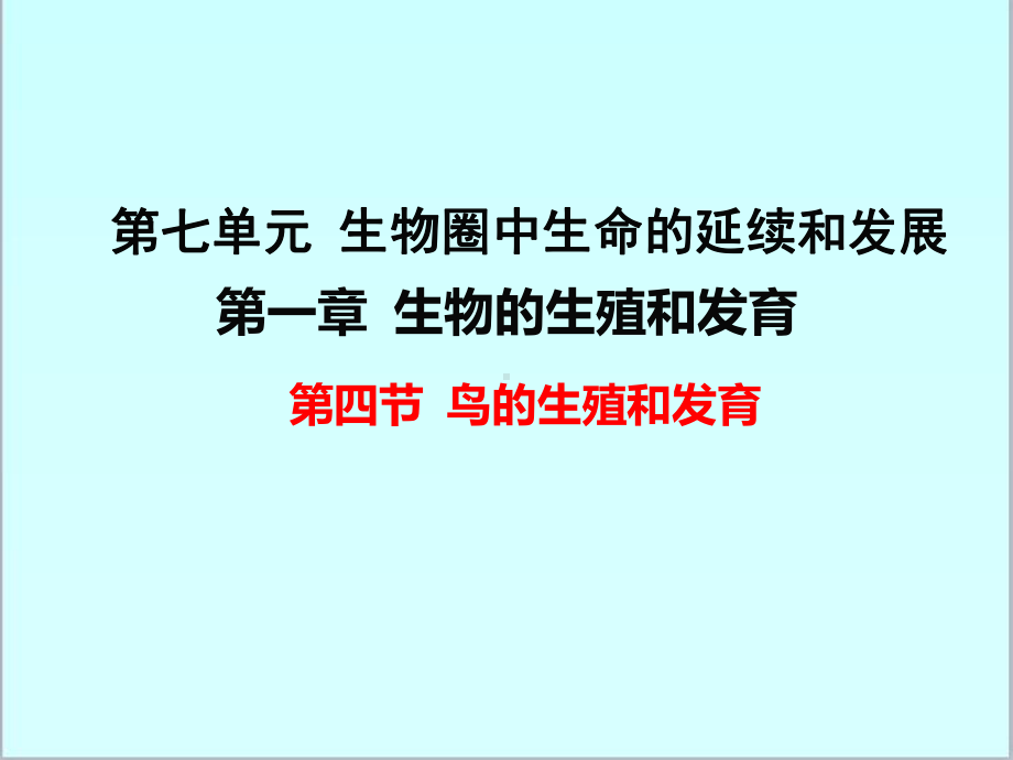 新人教版初中八年级生物下册第四节-鸟的生殖和发育优质课公开课课件.ppt_第1页