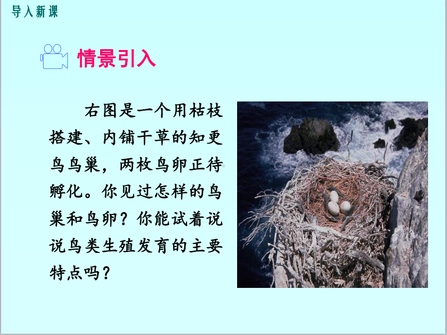 新人教版初中八年级生物下册第四节-鸟的生殖和发育优质课公开课课件.ppt_第2页