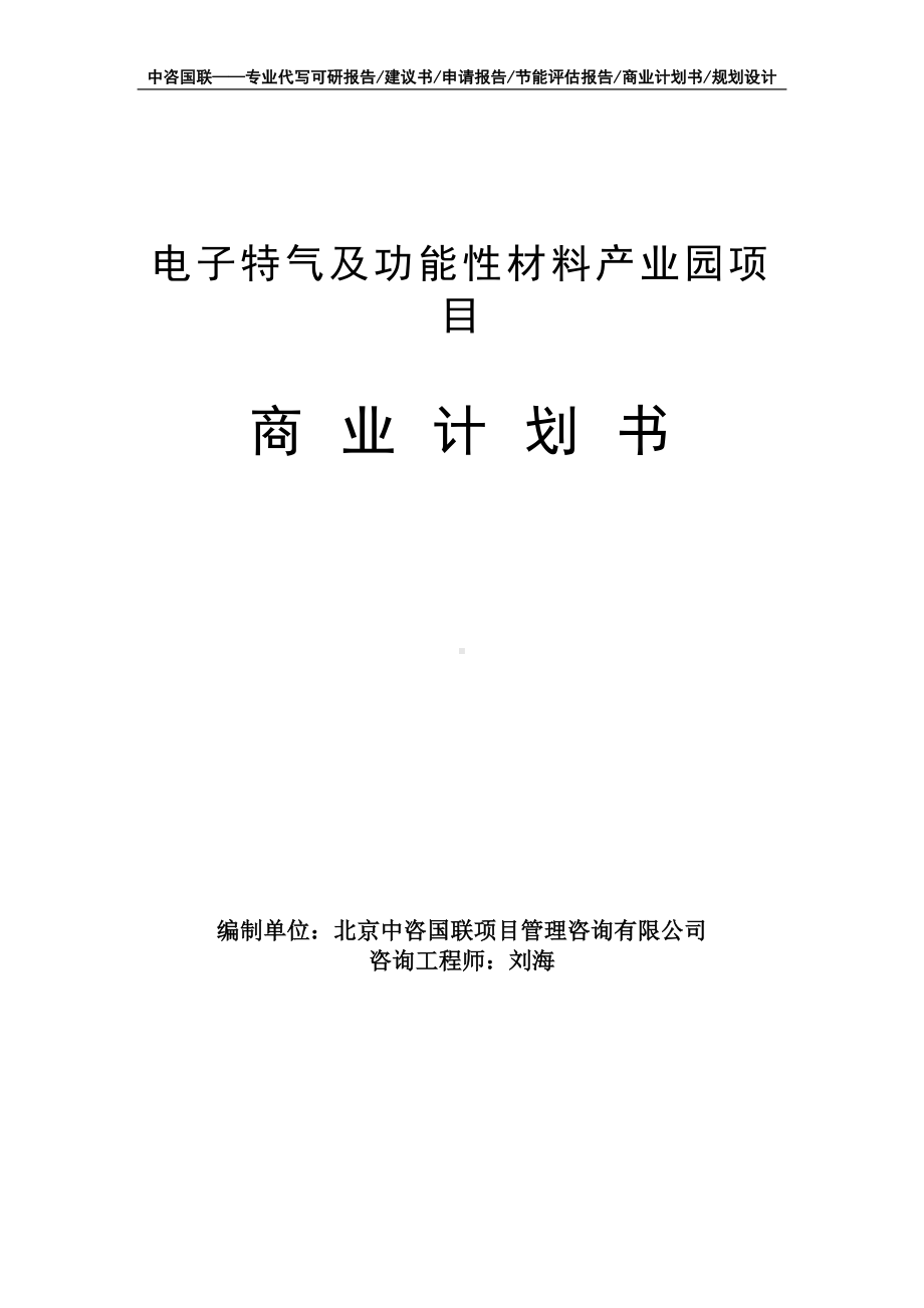 电子特气及功能性材料产业园项目商业计划书写作模板-融资招商.doc_第1页