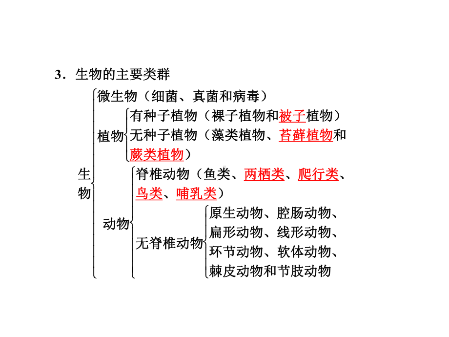 浙江省中考科学基础复习-第1课-各种各样的生物课件.ppt_第3页