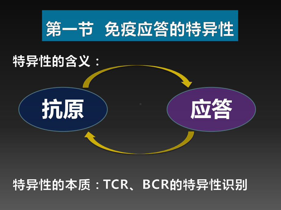 医学免疫学课件：适应性免疫应答的特点及其机制.ppt_第3页