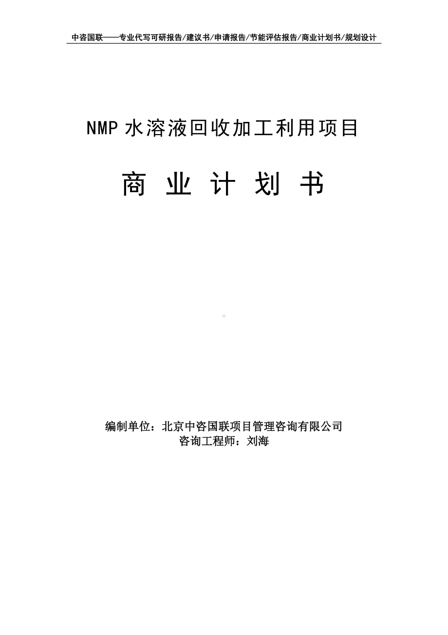 NMP水溶液回收加工利用项目商业计划书写作模板-融资招商.doc_第1页