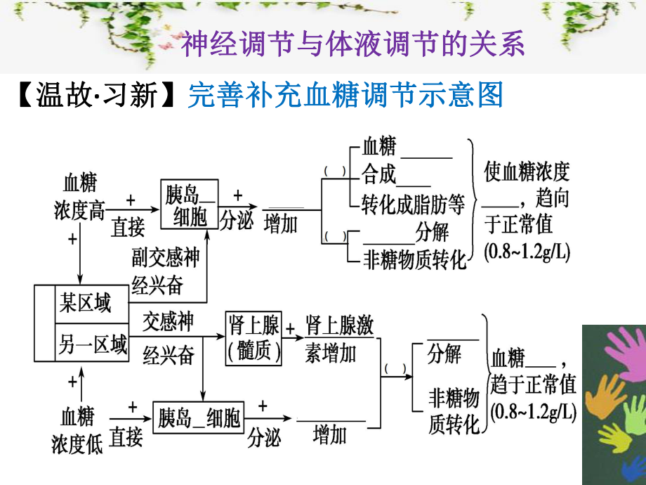 必修3-23神经调节和体液调节的关系公开课课件.pptx_第2页