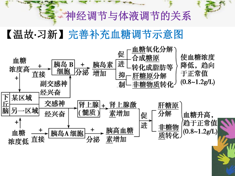 必修3-23神经调节和体液调节的关系公开课课件.pptx_第3页