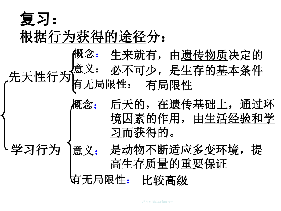 探究动物的行为课件.ppt_第2页