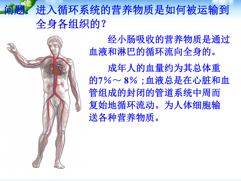 浙教版九年级上册科学《第3节体内物质的运输》课件.ppt_第2页