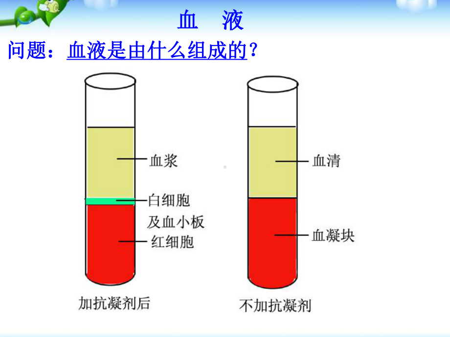 浙教版九年级上册科学《第3节体内物质的运输》课件.ppt_第3页