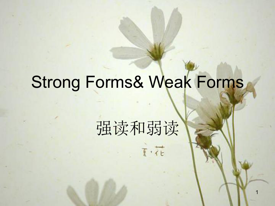 强读和弱读-(课堂)课件.ppt_第1页